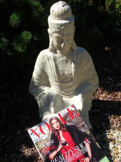 Vogue dans un jardin Zen