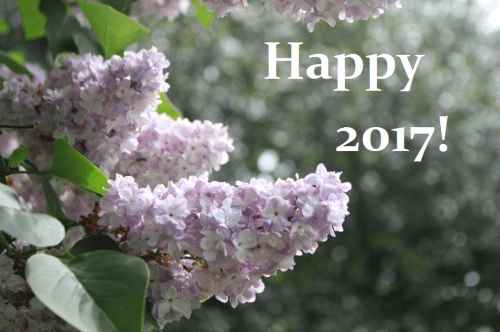 happy-2017